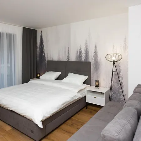 Phoenix Appart hôtel 3*